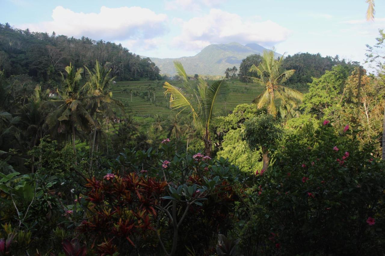 Pondok Lembah Dukuh Homestay Karangasem Exteriér fotografie