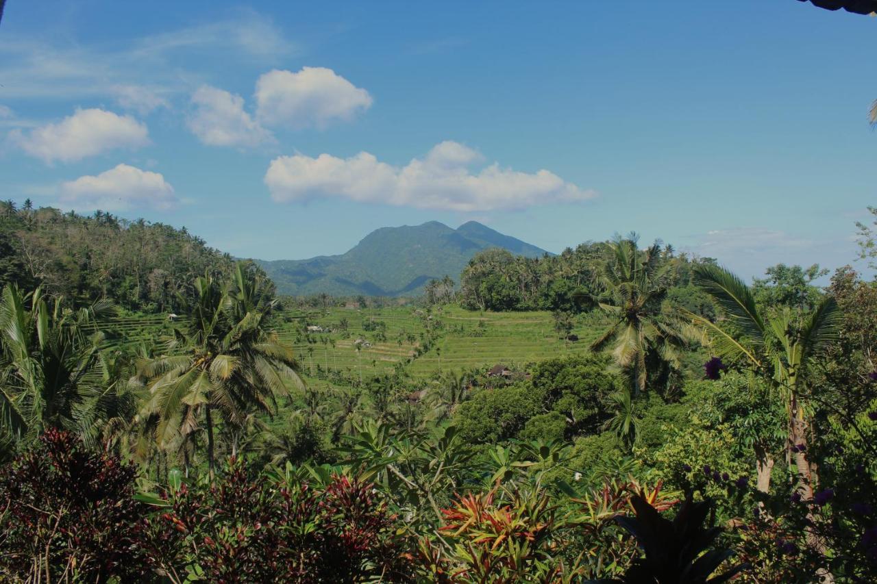 Pondok Lembah Dukuh Homestay Karangasem Exteriér fotografie