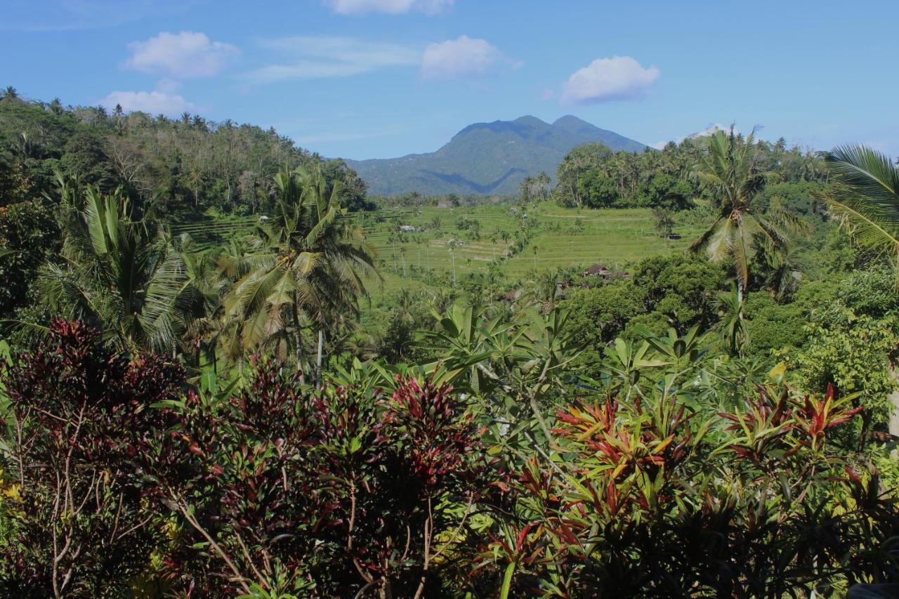 Pondok Lembah Dukuh Homestay Karangasem Exteriér fotografie