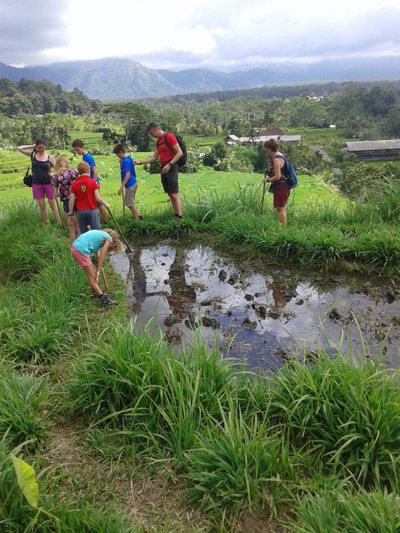 Pondok Lembah Dukuh Homestay Karangasem Exteriér fotografie